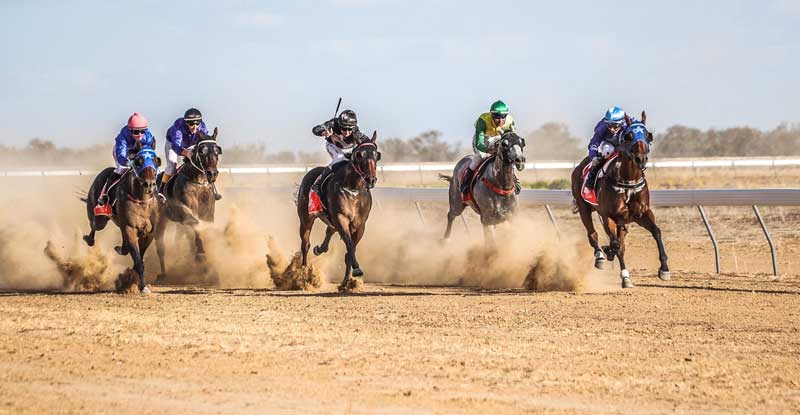 Birdsville Race Action
Photo credit Roxy Weston
The Birdsville story was covered in Ep 148-150 of The Paddock and The Pavilion