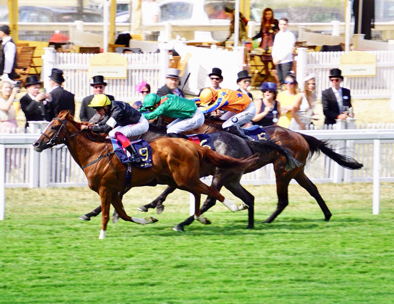 Stradivarius and Frankie Dettori
winning the 2018 Ascot Gold Cup
Ep 179 Stradivarius - a modern day icon at The National Stud of "The Paddock and The Pavilion"